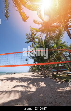 Terrain de volley-ball de plage à l'ombre des palmiers par jour ensoleillé Banque D'Images