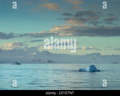 Petits icebergs (« Growers ») dans le détroit d'Orléans au large de la côte Davis de la péninsule Antarctique près de l'île Trinity, en Antarctique Banque D'Images