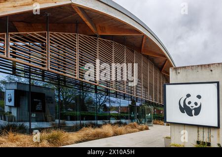 Le siège du World Wide Fund for nature (WWF) d'architecture moderne, le Living Planet Centre, dans le centre de Woking, une ville du Surrey, en Angleterre Banque D'Images