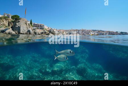 Espagne ville sur la côte méditerranéenne vue de la surface de la mer avec des poissons sous l'eau, vue divisée sur et sous la surface de l'eau, Calella de Palafrugell Banque D'Images