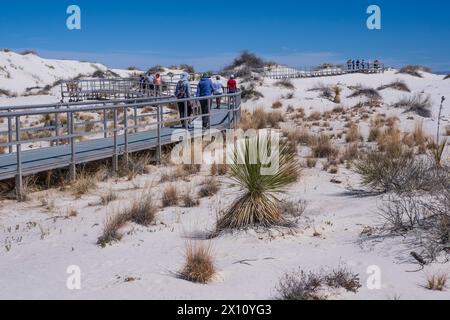 Interdune Boardwalk, White Sands National Park, Alamogordo, Nouveau-Mexique. Banque D'Images