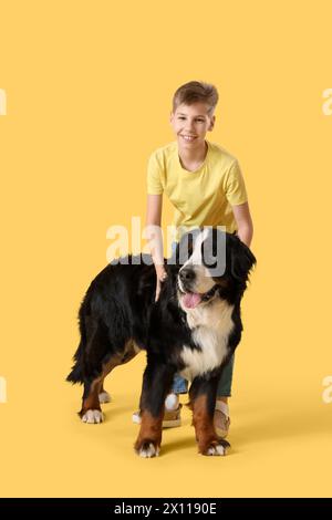 Petit garçon avec chien de montagne bernois sur fond jaune Banque D'Images