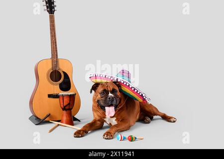 Boxer chien en chapeau sombrero avec des instruments de musique sur fond clair Banque D'Images