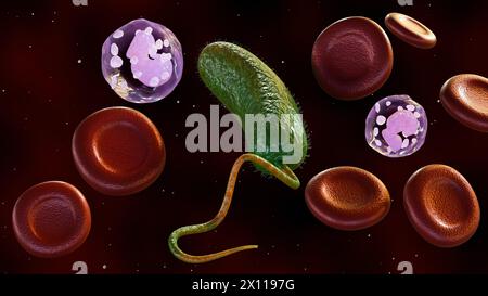Rendu 3D de Vibrio vulnificus, globules rouges et globules blancs Banque D'Images