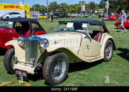 Une voiture de sport 1948 MG TC de couleur claire exposée lors de la réunion nationale du centenaire 2024 le 30 mars à Tamworth en Australie. Banque D'Images