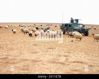 Des soldats de la compagnie C, 2e bataillon, 124e régiment d'infanterie, avec l'équipe de combat de la 53e brigade d'infanterie, parlent avec un agriculteur local en Irak pendant une patrouille en avril 2003. Banque D'Images