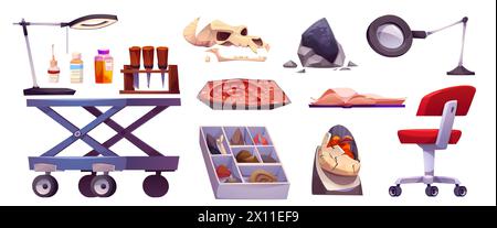Éléments d'armoire de laboratoire et de paléontologie fossiles. Outils de recherche et expositions de laboratoire de scientifiques en archéologie vectorielle de dessin animé à l'étude - os et empreintes de dinosaures, loupe et produits chimiques. Illustration de Vecteur