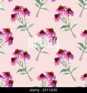 Motif aquarelle sans couture avec fleur d'herbe Coneflower, échinacée. Illustration dessinée à la main pour tissu textile Banque D'Images