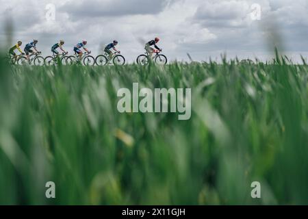 Valkenberg, pays-Bas. 14 avril 2024. Photo par Zac Williams/SWpix.com - 14/04/2024 - cyclisme - Amstel Gold Race 2024 - le peloton. Crédit : SWpix/Alamy Live News Banque D'Images