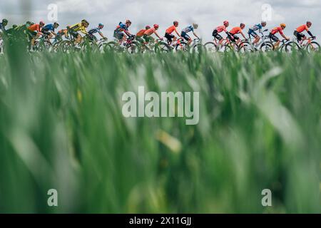 Valkenberg, pays-Bas. 14 avril 2024. Photo par Zac Williams/SWpix.com - 14/04/2024 - cyclisme - Amstel Gold Race 2024 - le peloton. Crédit : SWpix/Alamy Live News Banque D'Images