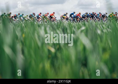 Valkenberg, pays-Bas. 14 avril 2024. Photo par Zac Williams/SWpix.com - 14/04/2024 - cyclisme - Amstel Gold Race 2024 - le peloton. Crédit : SWpix/Alamy Live News Banque D'Images