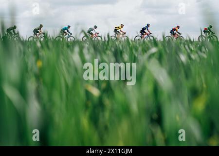 Valkenberg, pays-Bas. 14 avril 2024. Photo par Zac Williams/SWpix.com - 14/04/2024 - cyclisme - Amstel Gold Race 2024 - le peloton. Crédit : SWpix/Alamy Live News Banque D'Images