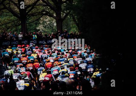 Valkenberg, pays-Bas. 14 avril 2024. Photo par Zac Williams/SWpix.com - 14/04/2024 - cyclisme - Amstel Gold Race 2024 - le peloton. Crédit : SWpix/Alamy Live News Banque D'Images