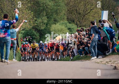 Valkenberg, pays-Bas. 14 avril 2024. Photo par Zac Williams/SWpix.com - 14/04/2024 - cyclisme - Amstel Gold Race 2024 - le peloton. Crédit : SWpix/Alamy Live News Banque D'Images