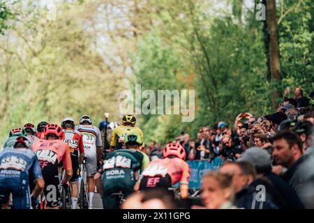 Valkenberg, pays-Bas. 15 avril 2024. Photo par Zac Williams/SWpix.com - 14/04/2024 - cyclisme - Amstel Gold Race 2024 - Mathieu Van Der Poel, Alpecin Deceuninck. Crédit : SWpix/Alamy Live News Banque D'Images