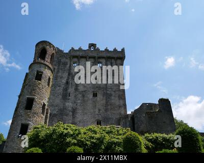 Ancienne tour du château celtique, château de Blarney en Irlande, ancienne forteresse celtique Banque D'Images