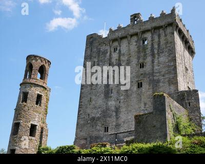 Ancienne tour du château celtique, château de Blarney en Irlande, ancienne forteresse celtique Banque D'Images