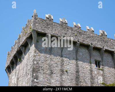 Ancienne tour du château celtique, château de Blarney en Irlande, ancienne forteresse celtique Banque D'Images