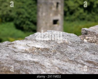 Ancienne pierre sur le fond de la tour antique, château de Blarney en Irlande, ancienne forteresse celtique Banque D'Images