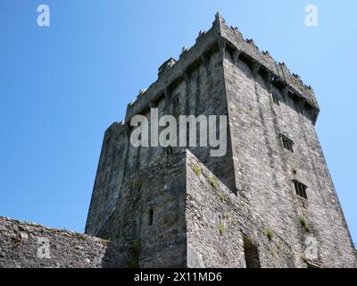 Arrière-plan de la tour antique, château de Blarney en Irlande, forteresse celtique Banque D'Images