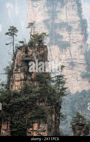 Zhangjiajie, Chine : paysage spectaculaire de la région pittoresque de Wulingyuan célèbre pour sa falaise de grès dans la province du Hunan Banque D'Images