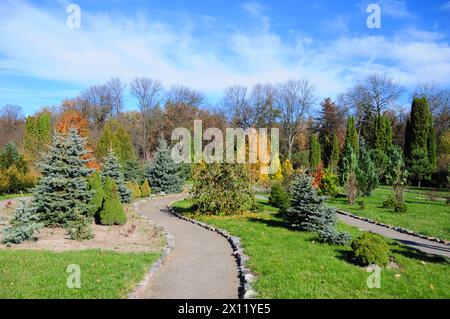 Beau chemin de jardin avec conception de paysage autunm coloré, if, thuja, picea glauca conica, épinette bleue. Banque D'Images