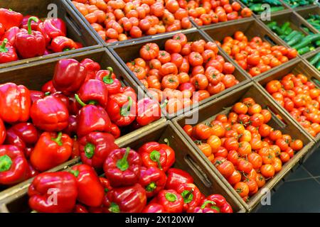 Récolte de légumes dans des boîtes. Légumes agricoles de la ferme au marché ou au supermarché. Photo de haute qualité Banque D'Images