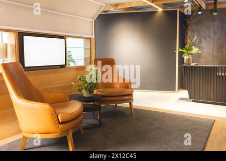 Deux chaises en cuir marron face à face dans la chambre moderne Banque D'Images