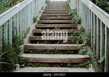 Vieil escalier en bois menant à Cannon Beach Banque D'Images