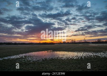 Coucher de soleil sur prairie humide, vue de mars en soirée, Pologne orientale Banque D'Images