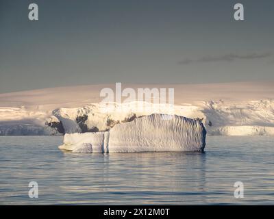 Iceberg dans le détroit d'Orléans au large d'AWI point, île Trinity, Antarctique Banque D'Images