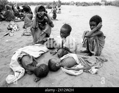 KEN , KENIA : Familien , die Opfer der Duerre geworden sind , warten in einem Feeding Centre in Wajir , Juni 1992 KEN , KENYA : des victimes de la sécheresse attendent dans un centre d'alimentation à Wajir , juin 1992 *** KEN , KENYA des victimes de la sécheresse attendent dans un centre d'alimentation à Wajir , juin 1992 KEN , KENYA des victimes de la sécheresse attendent dans un centre d'alimentation à Wajir , juin 1992 Banque D'Images