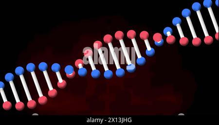 Image d'un brin d'adn tournant sur fond rouge et noir Banque D'Images