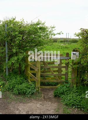 Porte de stile traditionnelle à travers des terres agricoles sur un sentier public. Banque D'Images