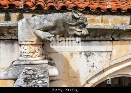Sculpture grotesque de bec d'eau de gargouille du cloître du silence. Le monastère d'Alcobaça (Mosteiro de Alcobaça) ou monastère d'Alcobasa est un Cath Banque D'Images