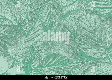 Motif de feuilles vertes. Vue en gros plan Flat Layout Top. Banque D'Images