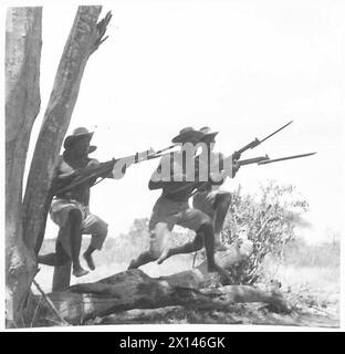 Les soldats de King's African Rifles sur le front du Kenya effectuent des exercices de forage à baïonnette pendant les opérations militaires. Banque D'Images