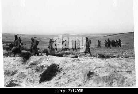 L'ARMÉE BRITANNIQUE DANS LA CAMPAGNE DE TUNISIE, NOVEMBRE 1942-MAI 1943 - les troupes du 1er bataillon, Royal Irish Fusiliers se déplacent pour soutenir les restes du 6e bataillon, Royal Inniskill Fusiliers. La bataille de Bou Arada. Un poste d'observation avancé tenu par les Allemands était connu sous le nom de 'Two Tree' Hill car sur son point culminant deux arbres ont poussé. Il était important de prendre la colline car elle avait une position avantageuse commandant toutes les approches sur plusieurs miles autour.dans la soirée du 10 janvier une patrouille de chars allemands, une quinzaine de forts, approchait et atteignait la périphérie de Bou Arada mais étaient d Banque D'Images