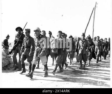 INVASION DE LA SICILE - le premier lot de prisonniers italiens arrivant à la plage pour interrogatoire de l'armée britannique Banque D'Images