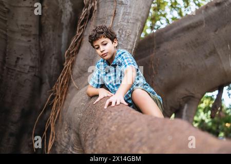 Jeune enfant grimpant à un arbre - explorer le terrain de jeu de la nature, vêtu de plaid et de short, se concentrer sur l'aventure et la curiosité de l'enfance. Banque D'Images