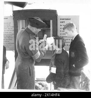 EXPOSITION D'ÉQUIPEMENT DE L'ARMÉE À BIRMINGHAM - les écoliers à l'exposition sont montrés l'un des pigeons du Royal corps of signal Carrier Army British Army Banque D'Images