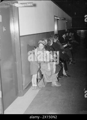 EAST HAM INFORMATION BUREAU : WAR WELFARE WORK IN LONDON, 1941 - les hommes, les femmes et les enfants bordent le couloir alors qu'ils attendent pour demander de l'aide à certains des départements basés à East Ham Town Hall. Au premier plan, ces civils attendent de visiter le Bureau d'avis aux citoyens et plus loin, un panneau au-dessus de la porte indique le bureau des victimes et des biens personnels. Une dame qui attend devant cette pièce tricote pour passer le temps ! , Banque D'Images