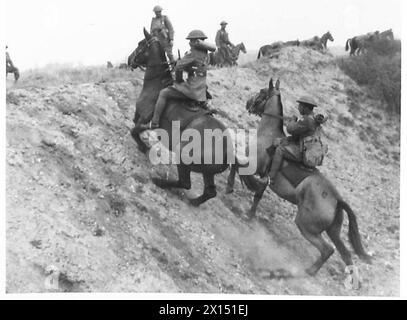 UNE UNITÉ DE MONTAGNE INDIENNE EN FORMATION - chevaux grimpant la dernière étape au sommet d'une crête de l'armée britannique Banque D'Images