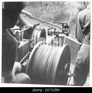 Une couche de câble mécanique fonctionne en posant un câble téléphonique de terrain le long de haies de bord de route, supportant des lignes de communication pour l'armée. Banque D'Images
