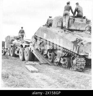 ITALIE : HUITIÈME ARMÉE : SÉRIE REME - RÉCUPÉRATION DE CHARS REME. Un char Sherman est chargé sur le Scammel en préparation d'être emmené dans des ateliers pour y installer un nouveau moteur de l'armée britannique Banque D'Images