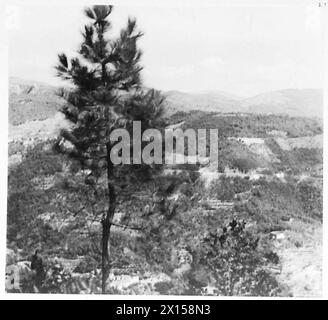 CINQUIÈME ARMÉE : DIVERS - (REJOINDRE) les montagnes N.W. de Pistoia qui contient la ligne gothique. Afin d'améliorer son champ de tir, et d'augmenter la difficulté d'un assaut frontal, l'ennemi a abattu des arbres, des vignes et des buissons sur la colline de l'armée britannique Banque D'Images