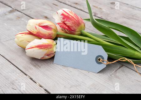Bouquet de tulipes rayées en rouge, jaune et blanc et carte avec espace copie Banque D'Images