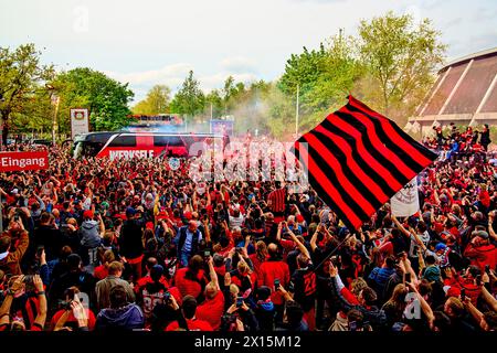 Arrivée de l'équipe dans le Teambus avec les fans en fête avant le match BAYER 04 LEVERKUSEN - SV WERDER BRÊME le 14 avril 2024 à Leverkusen, Allemagne. Saison 2023/2024, 1.Bundesliga,, Journée 29, 29.Spieltag © Peter Schatz / Alamy Live News - LA RÉGLEMENTATION DFL INTERDIT TOUTE UTILISATION DE PHOTOGRAPHIES comme SÉQUENCES D'IMAGES et/ou QUASI-VIDÉO - Banque D'Images