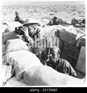 L'ARMÉE POLONAISE DANS LA CAMPAGNE DU DÉSERT occidental, 1940-1942 - poste d'observation du régiment d'artillerie des Carpates situé dans les ruines d'un ancien temple grec. Les deux soldats surveillent l'ennemi, celui de droite utilisant des jumelles ciseaux. Ces photos prises aux positions les plus avancées autour de Carmuset er Regem (Karmusat Ar Rijam) près de Gazala, montrent des unités d'infanterie et d'artillerie de la Brigade indépendante polonaise de fusils des Carpates face aux forces allemandes et italiennes Armée britannique, Armée polonaise, Forces armées polonaises à l'Ouest, Brigade indépendante de fusils des Carpates, forc. armée polonaise Banque D'Images