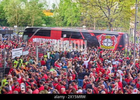 Les fans célèbrent l'arrivée de l'équipe avant le match BAYER 04 LEVERKUSEN - SV WERDER BRÊME 5-0 le 14 avril 2024 à Leverkusen, Allemagne. Saison 2023/2024, 1.Bundesliga,, Journée 29, 29.Spieltag photographe : ddp images / STAR-images - LA RÉGLEMENTATION DFL INTERDIT TOUTE UTILISATION DE PHOTOGRAPHIES comme SÉQUENCES D'IMAGES et/ou QUASI-VIDÉO - Banque D'Images